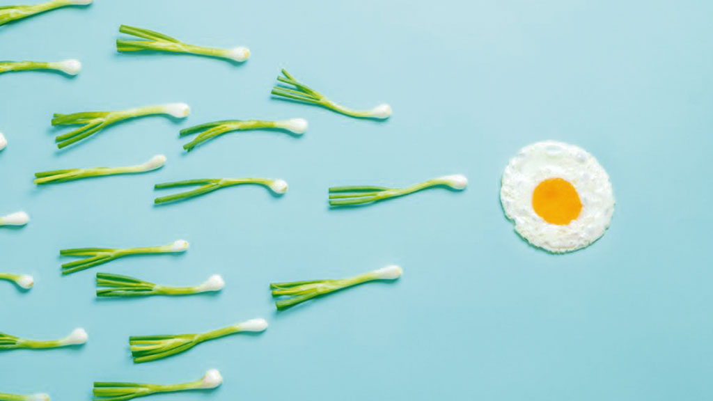 Hamile Kalmana Yardımcı Olacak Adımlar